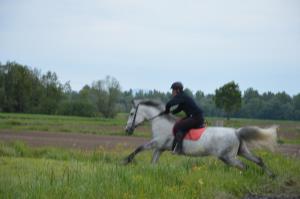 3. Srečanje kočij in konjenikov na Grabah 12